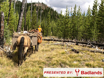 Take the Shot? A Hard-Core Hunter Gets a Shot at a Public Land Elk with a Light-for-Elk-Caliber. Should He Take the Shot? Presented by: Badlands