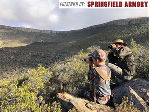 Take the Shot? A Marauding Baboon Offers a Cross-Canyon Shot Opportunity & 8211; Presented by Springfield Armory