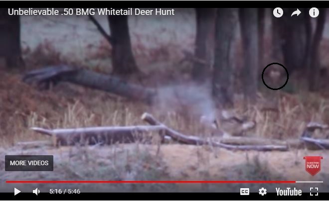 Thoughts on the Magic .50 BMG Bullet that Killed a Deer Without Hitting It...